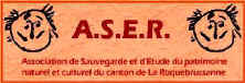 aser logo.jpg (18395 octets)